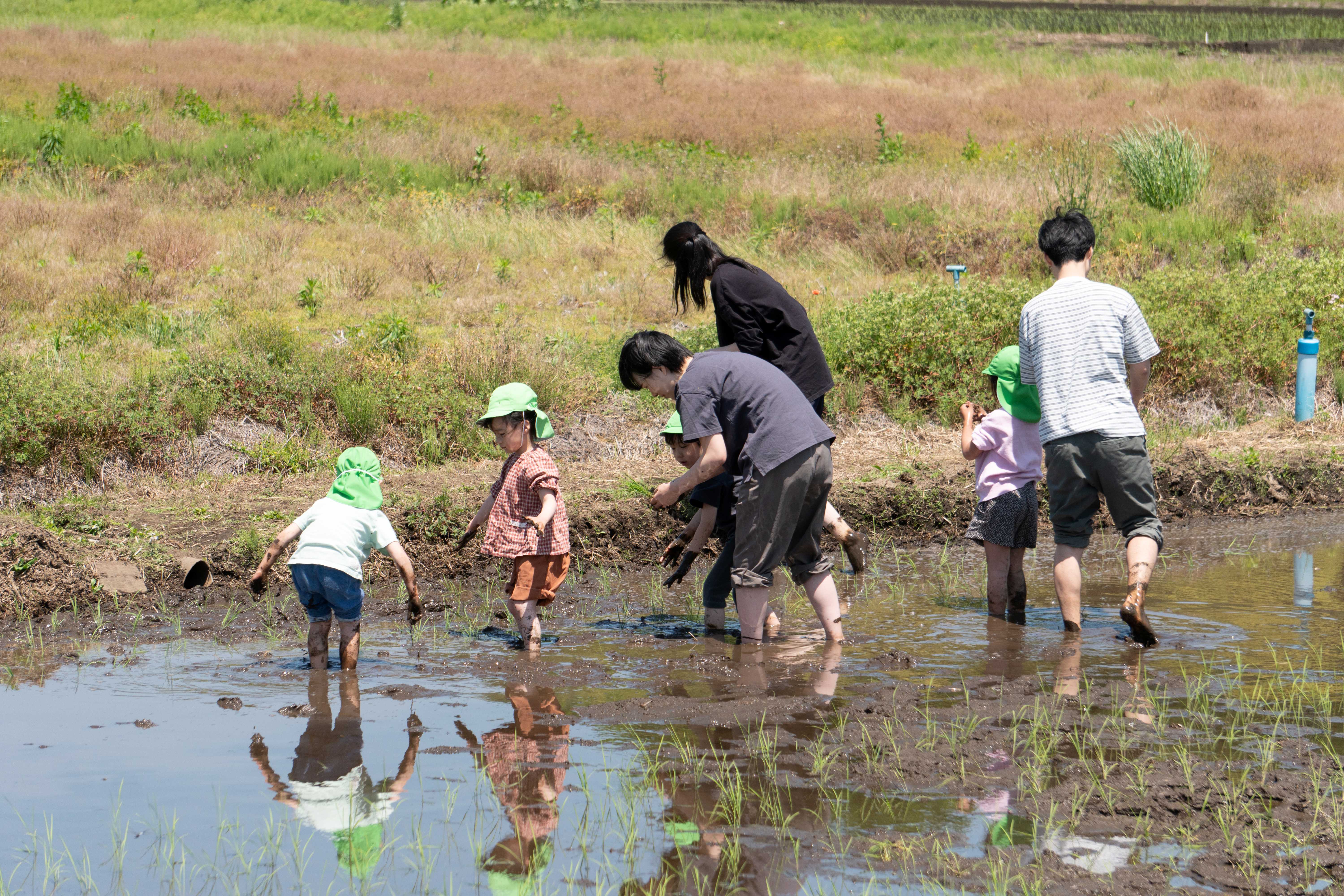 thanka保育園ながれやま　（旧：Kanade流山セントラルパーク保育園　）の正社員 保育士 認可保育園の求人情報イメージ1